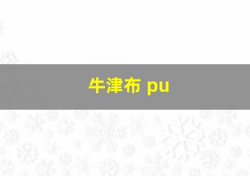 牛津布 pu